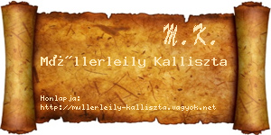 Müllerleily Kalliszta névjegykártya